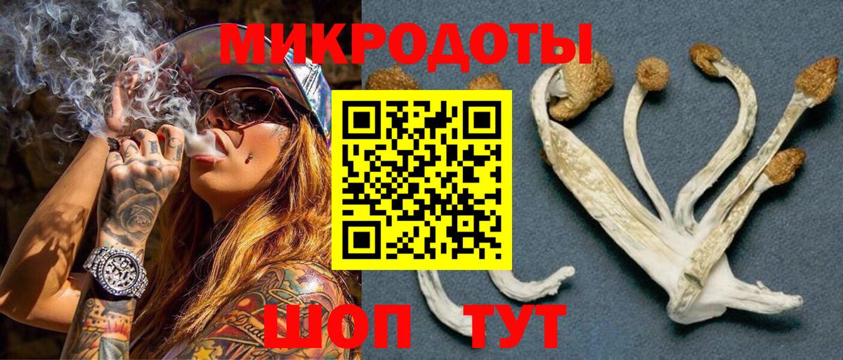 даркнет сайт  Псилоцибиновые грибы Psilocybine cubensis  Вход с VPN  Волжский 